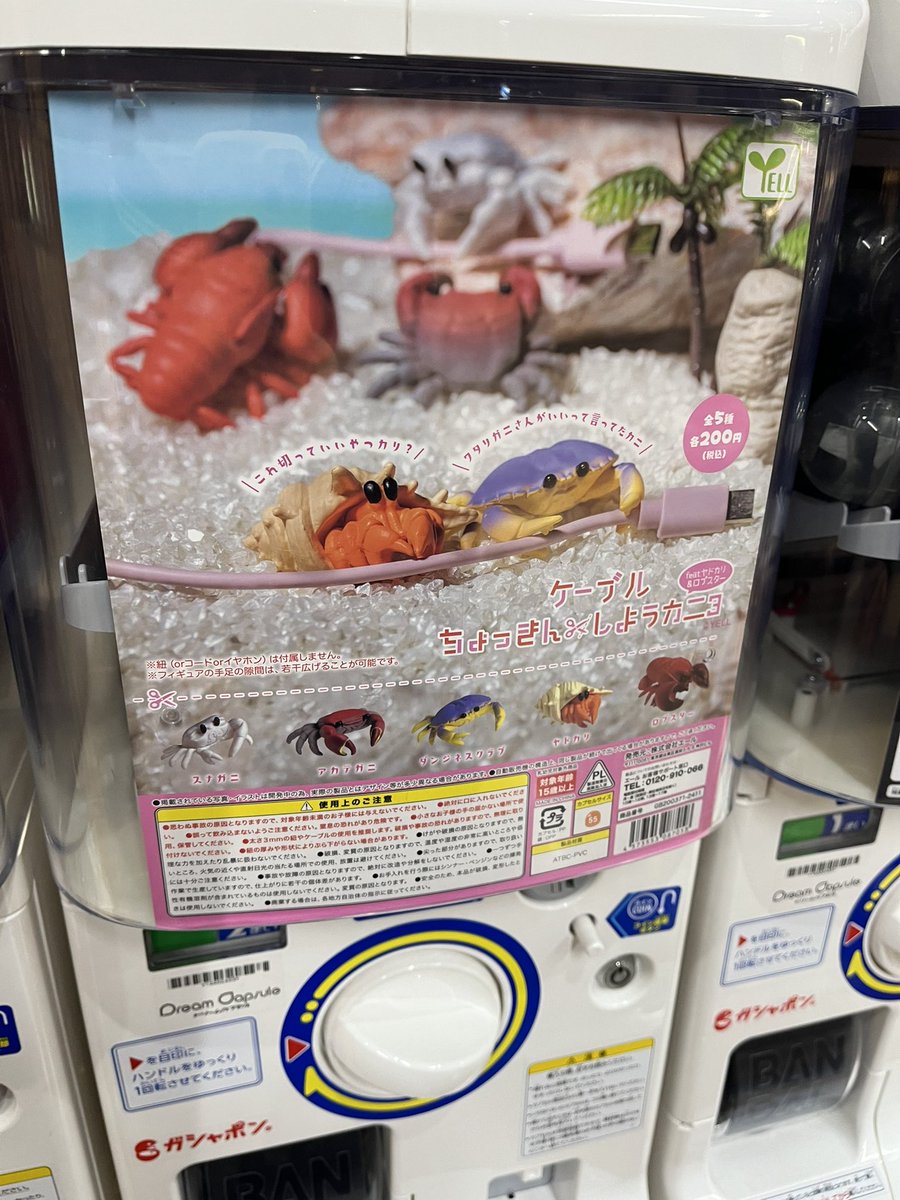 hina3(わかめすぅぷ。) tweet media