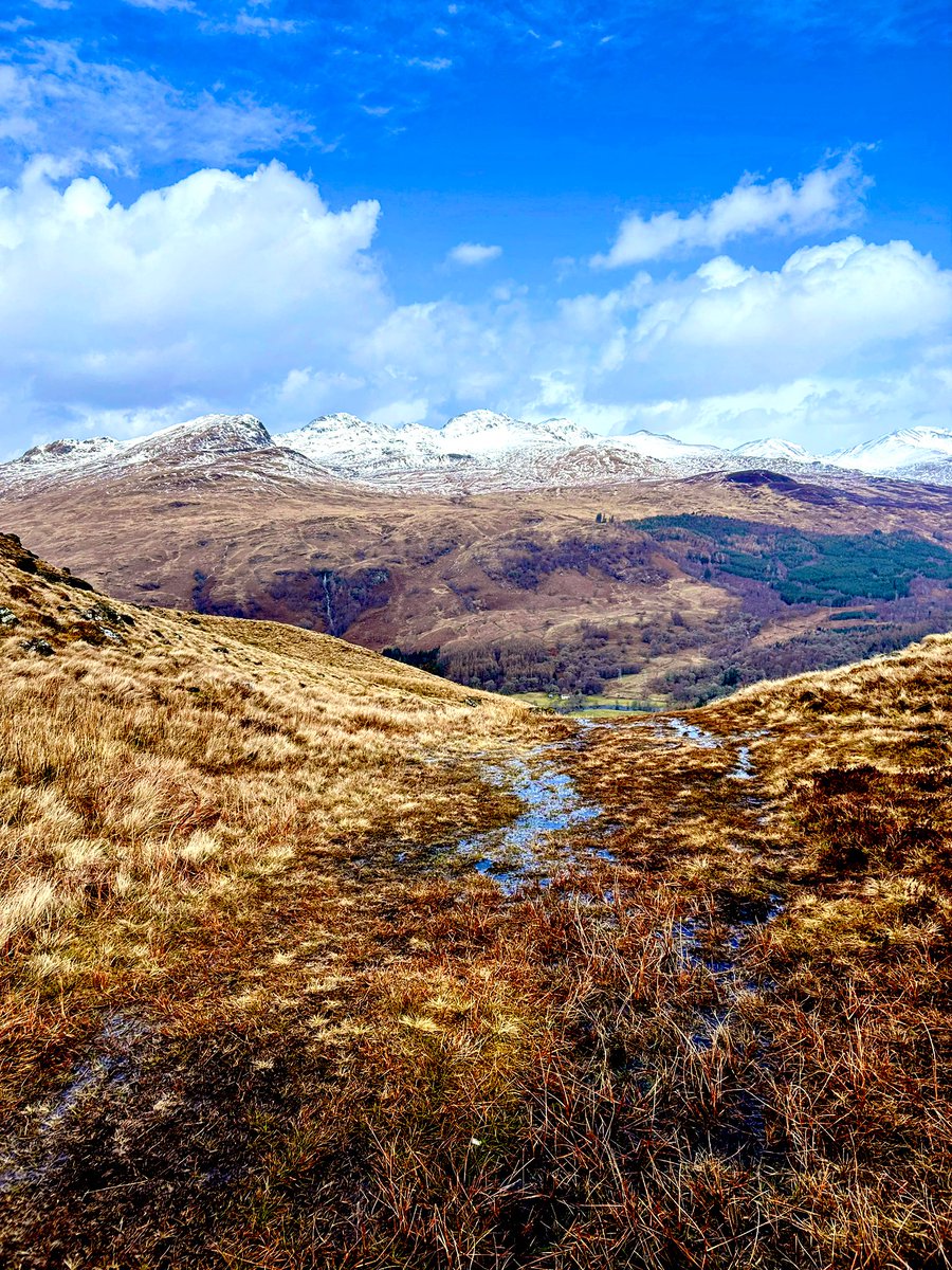 Lisa Stewart tweet media