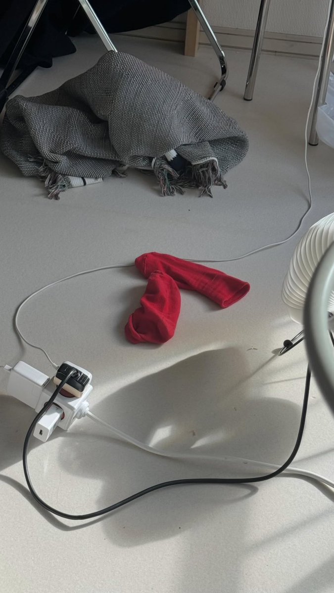 初音 / エッセイ『弱いままで強く生きたい』 tweet media