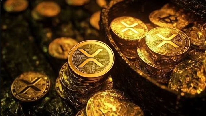 XRP Expert tweet media