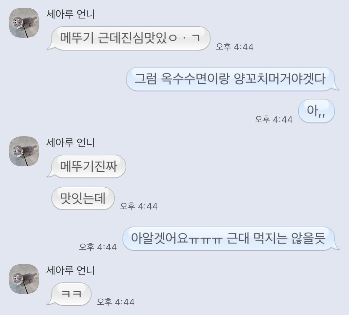 예전에 세아루가 추천해줬던 식당
가려고 맛잇는 메뉴 물어봣는데 . . .