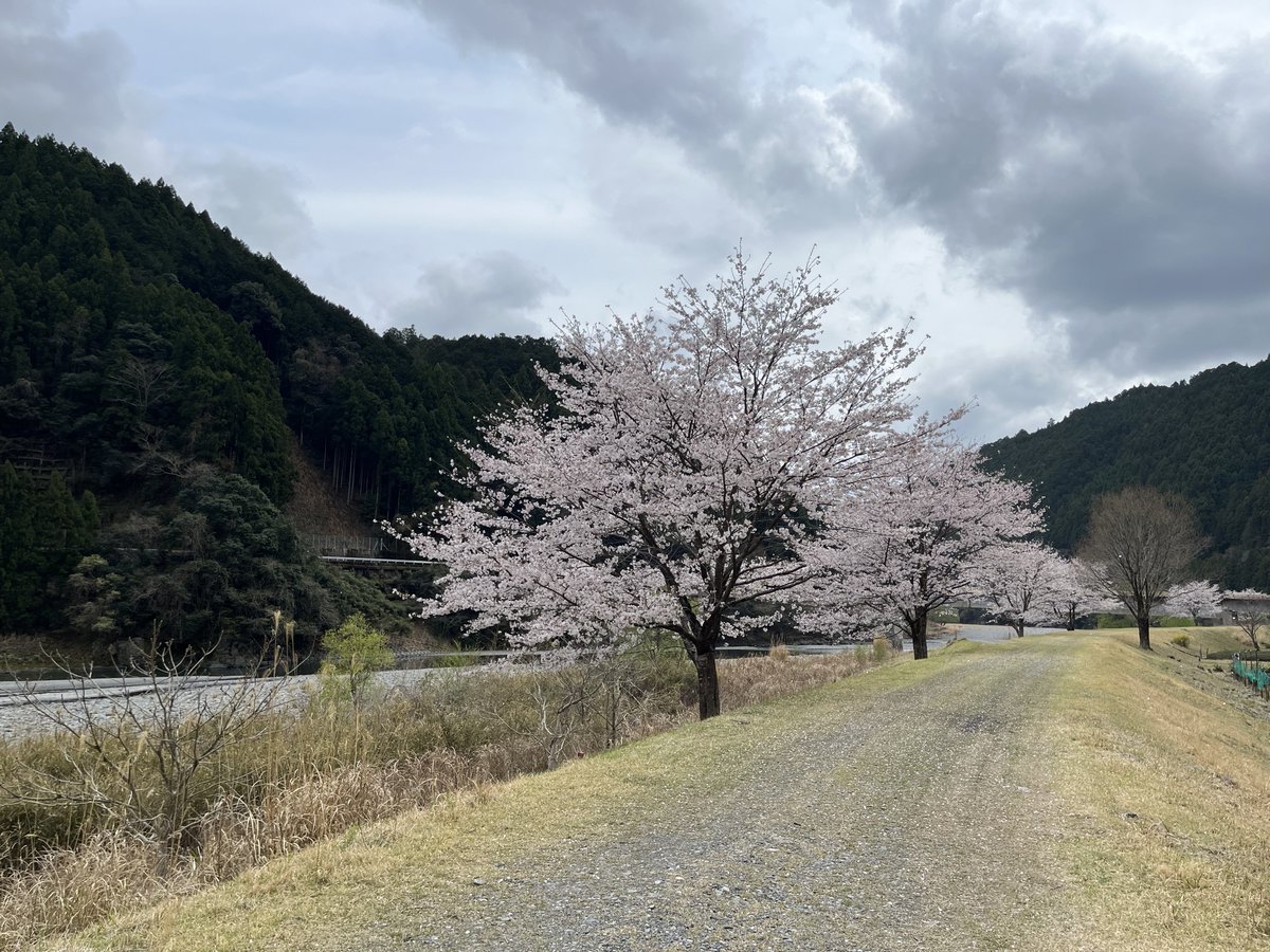 藤田充 tweet media