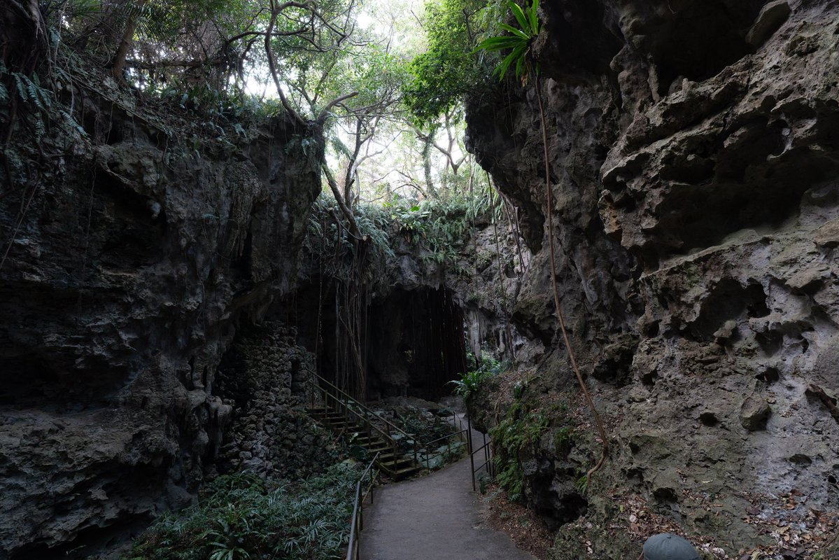 HAL大阪|ゲーム・CG・IT専門学校 tweet media