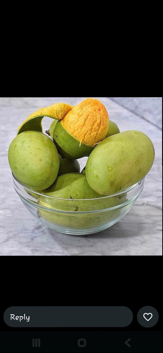 Of all the Mango species made available to mankind by the good Lord,

 THIS IS KING!!!!!