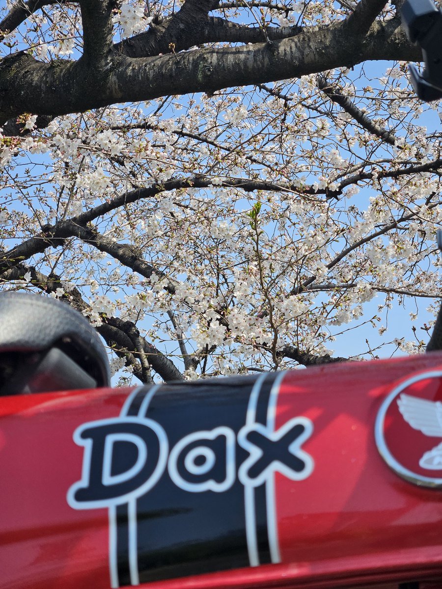 まよねーず tweet media