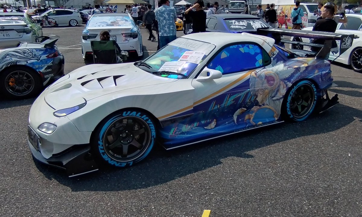 灰色狼のくまっち tweet media