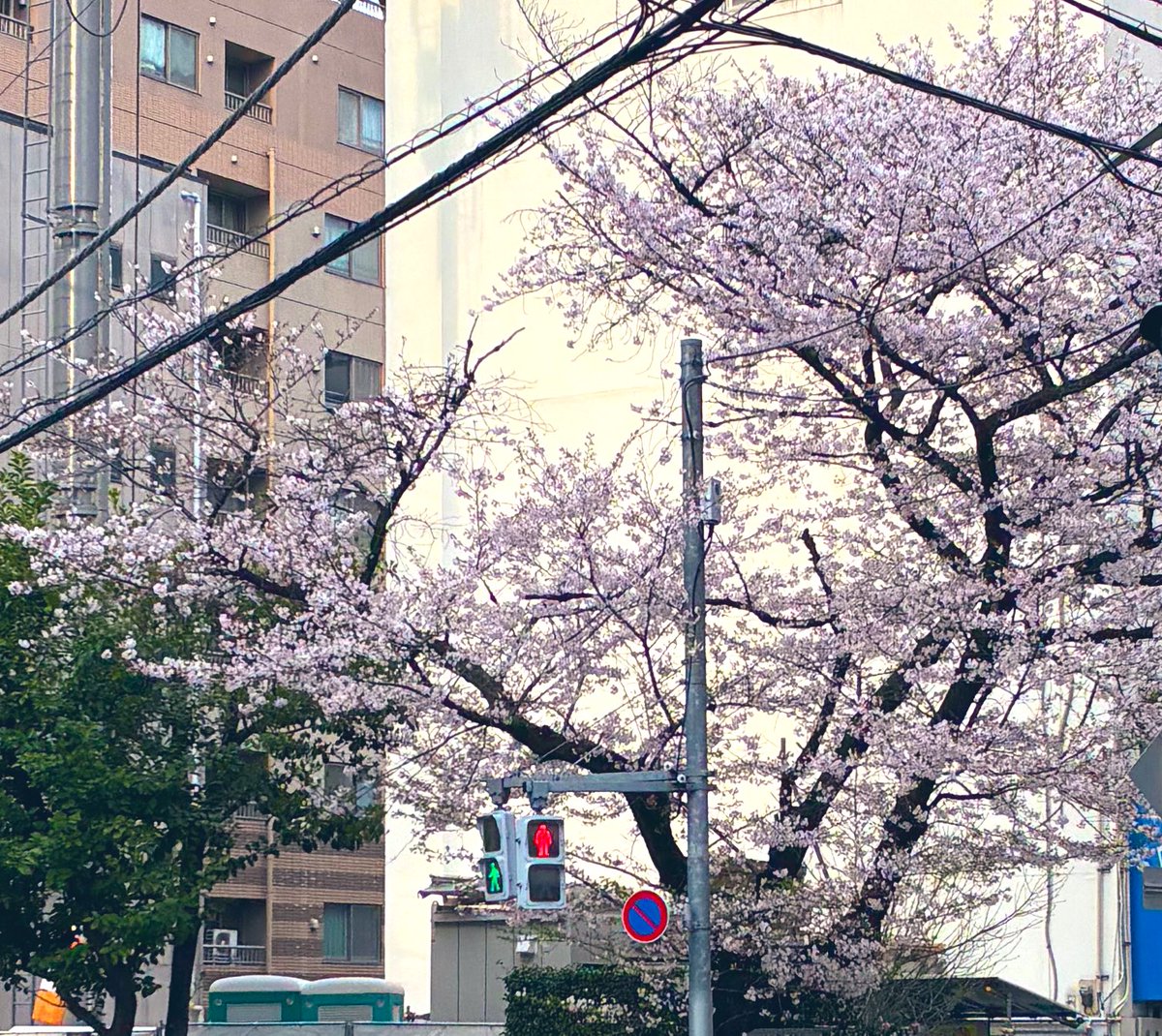 ニャル子雑垢(VAPE垢だったような) tweet media