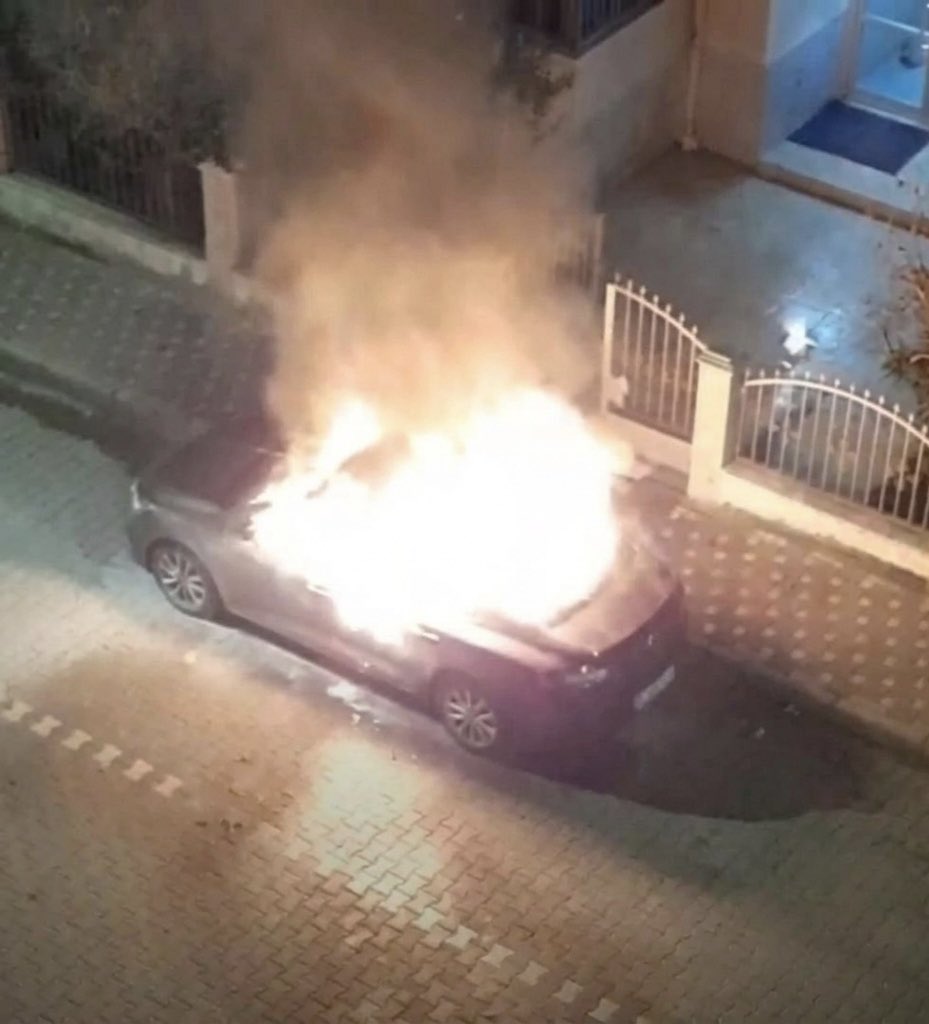 Ayşe Salmanlı tweet media