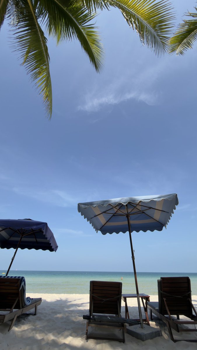 nico miyuu🍀🐻🦊🐰🐶 tweet media