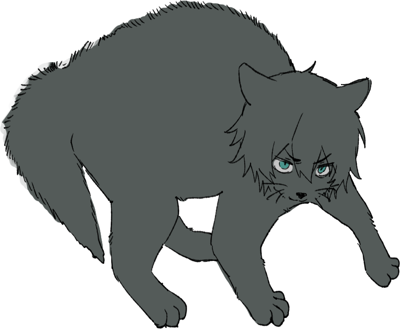 🩷🩵청량 tweet media