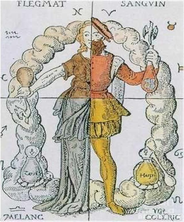 Nettmander tweet media