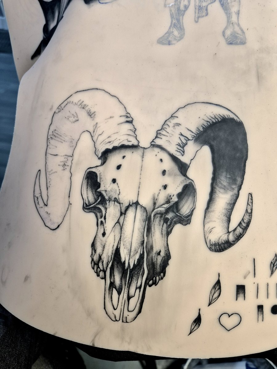 Tomek loves Randal! 🐈 tweet media