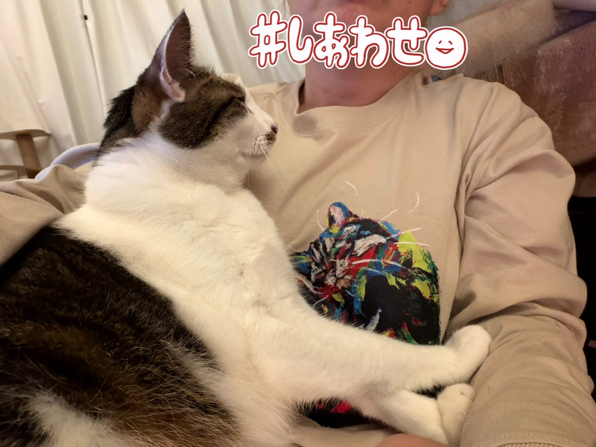 原田　千栄 tweet media