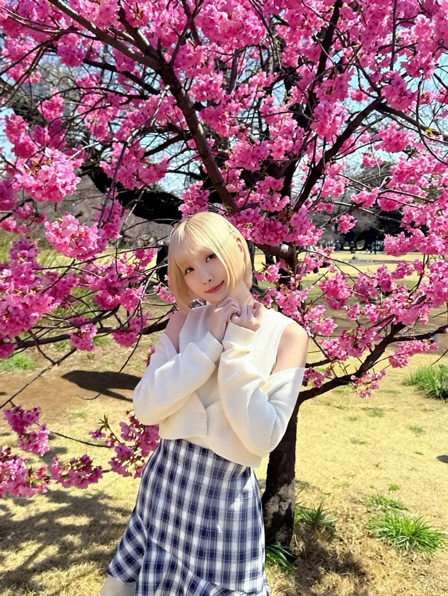 Silver✿゚ tweet media