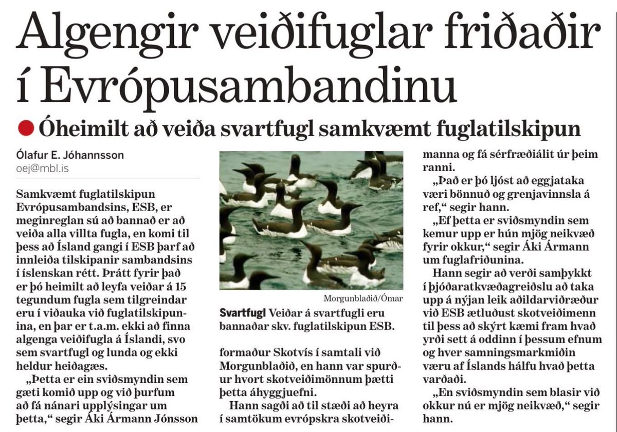 Kjartan Magnússon tweet media