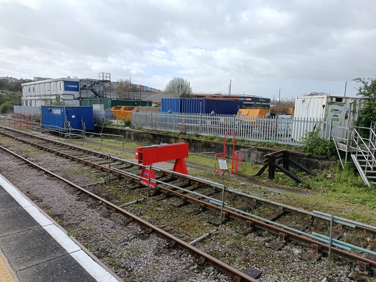 Tara Jane tweet media