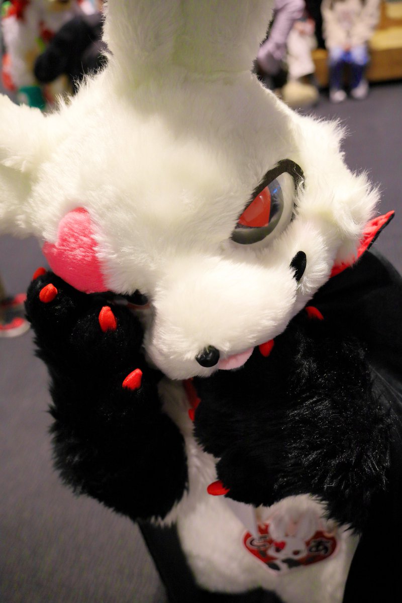 とあ / Toa tweet media