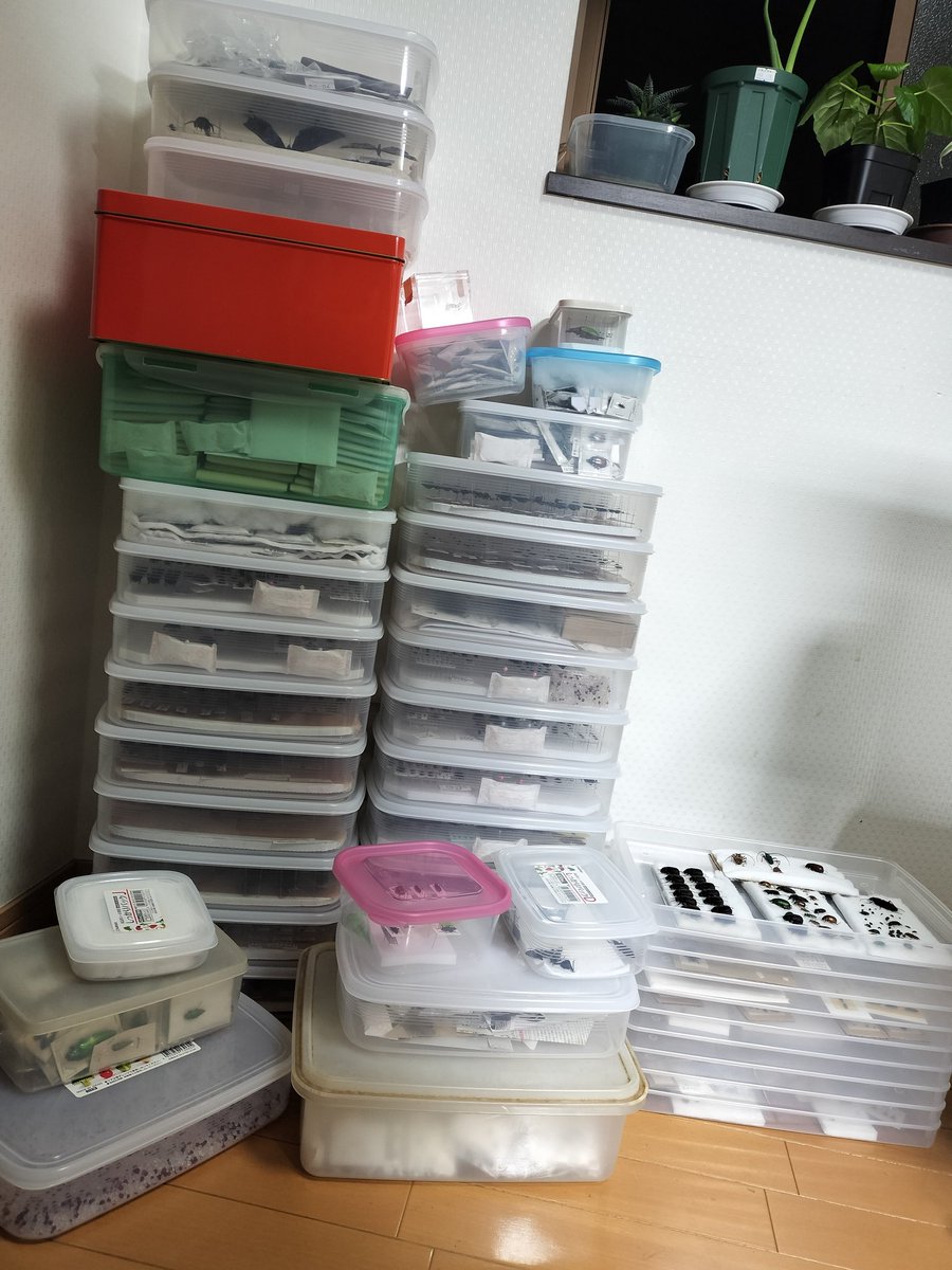 コスタタ👨‍🦱🔰 tweet media