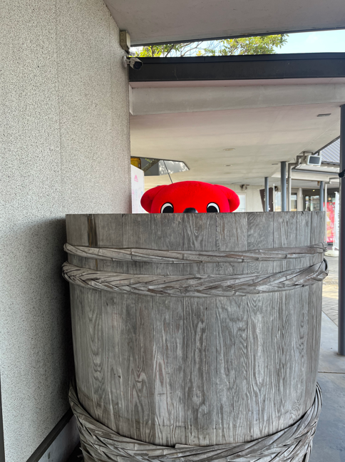 チーバくん tweet media