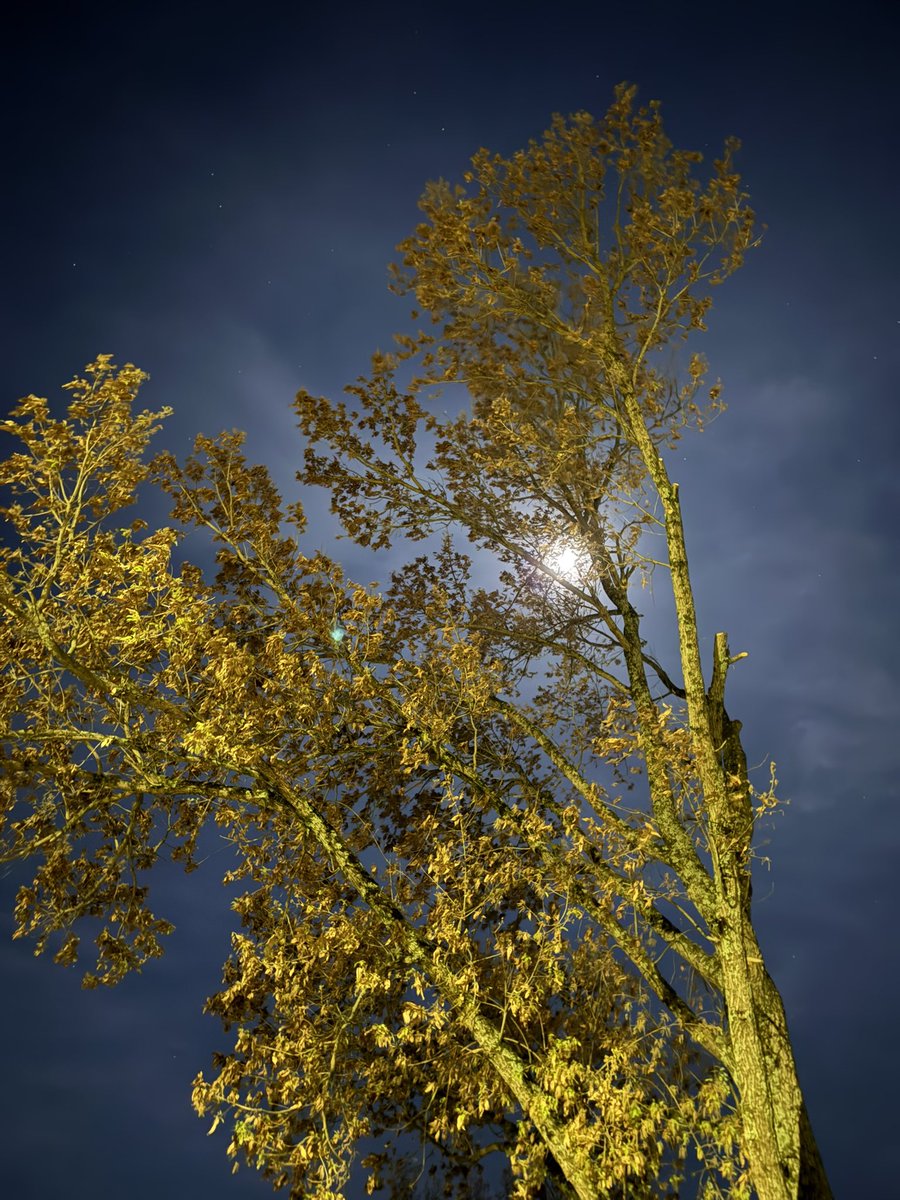 Kevin Hutcherson tweet media