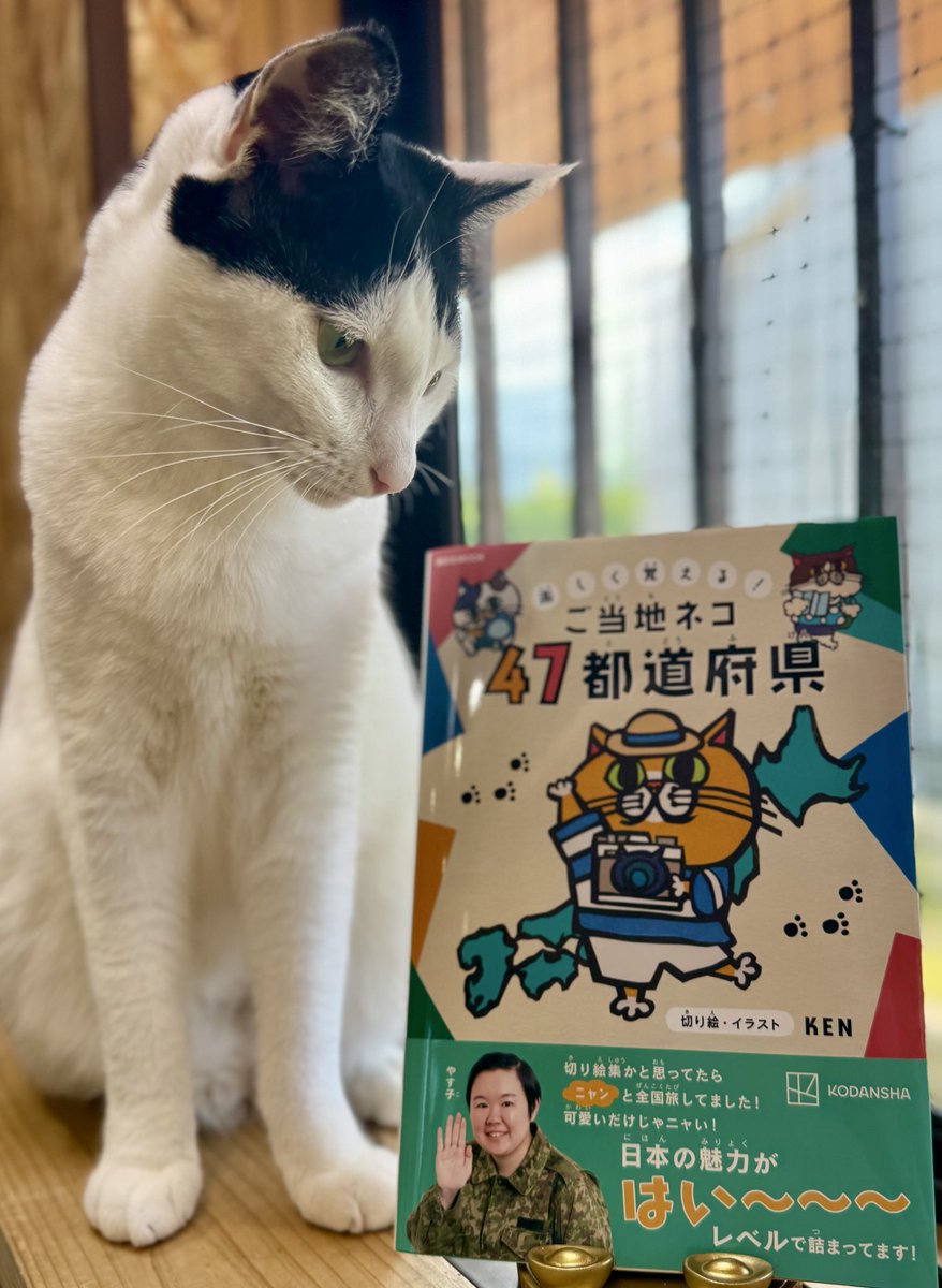 KENの書籍の印税から、ノラ猫の去勢・不妊の活動をされている、福岡県