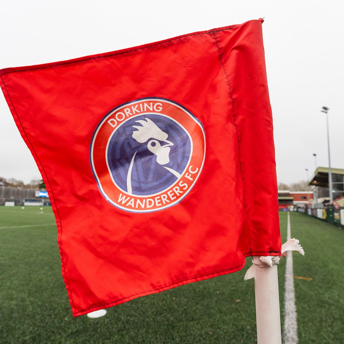 Worthing FC tweet media