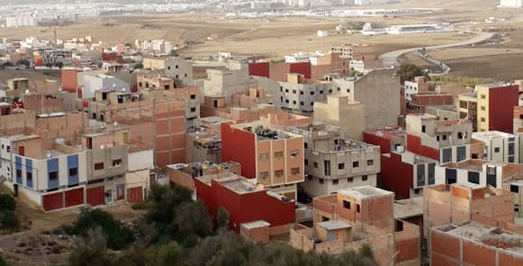 Xaki Rov 🔻🏴‍☠️ tweet media