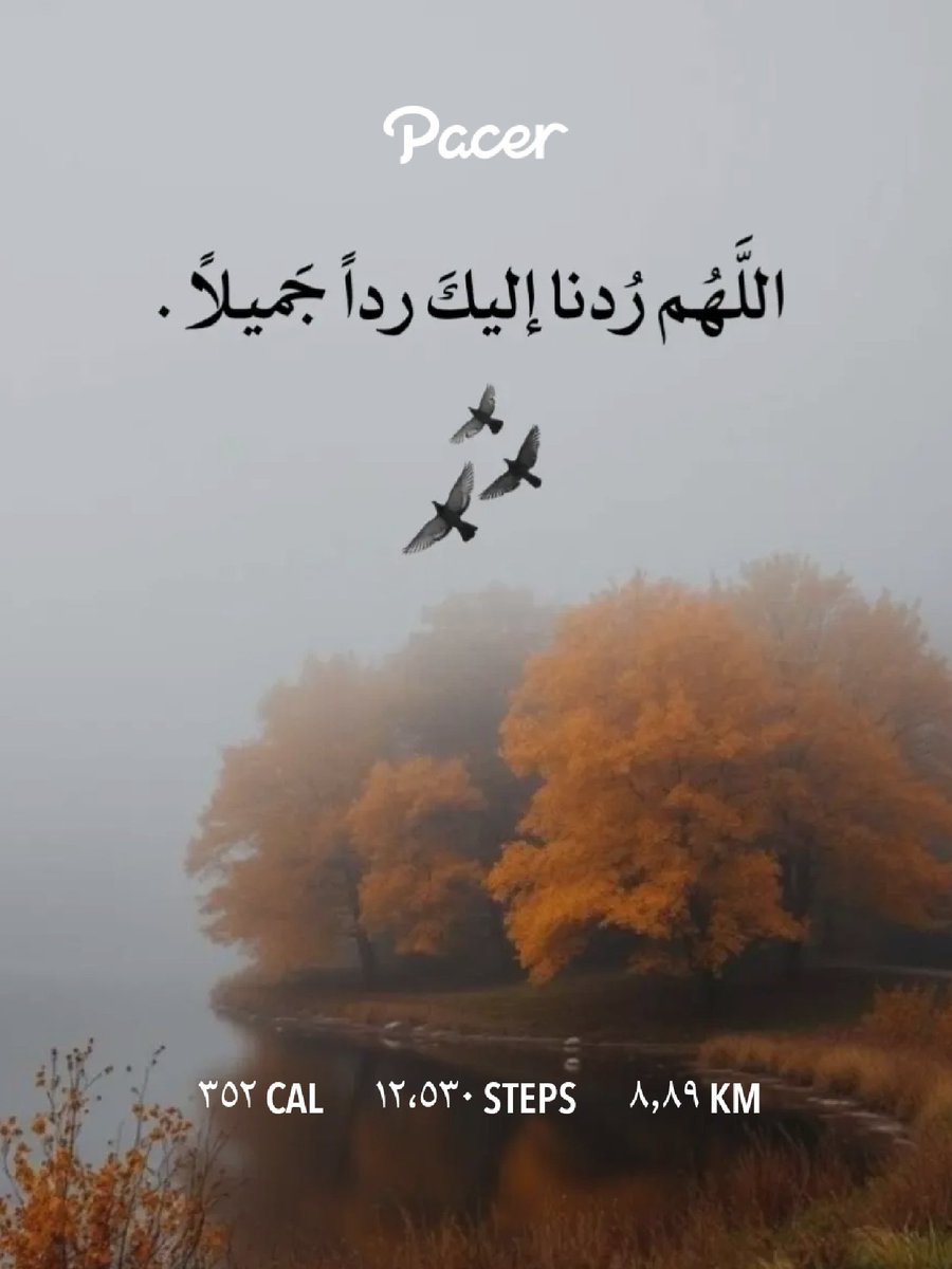 مريم عبدالله 🌸 tweet media