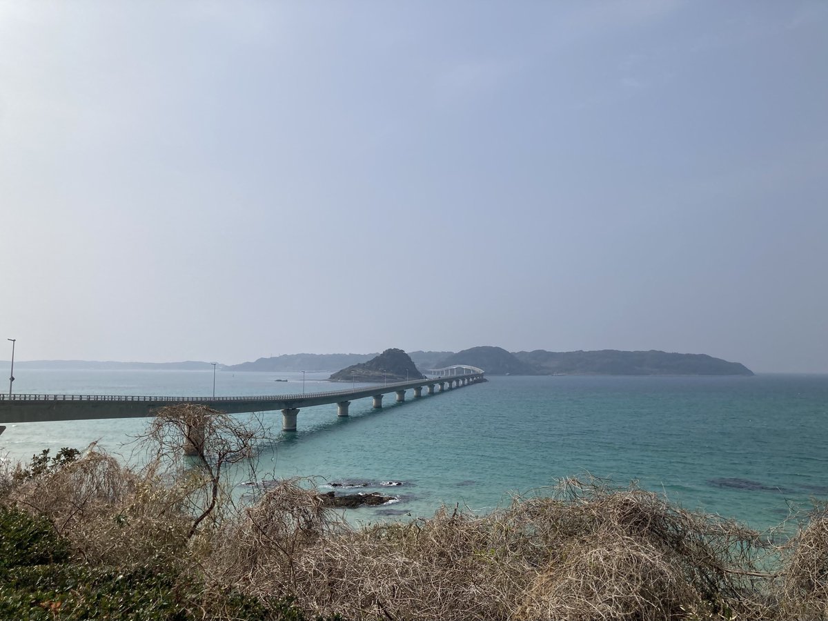 Kota_hawk migration tweet media