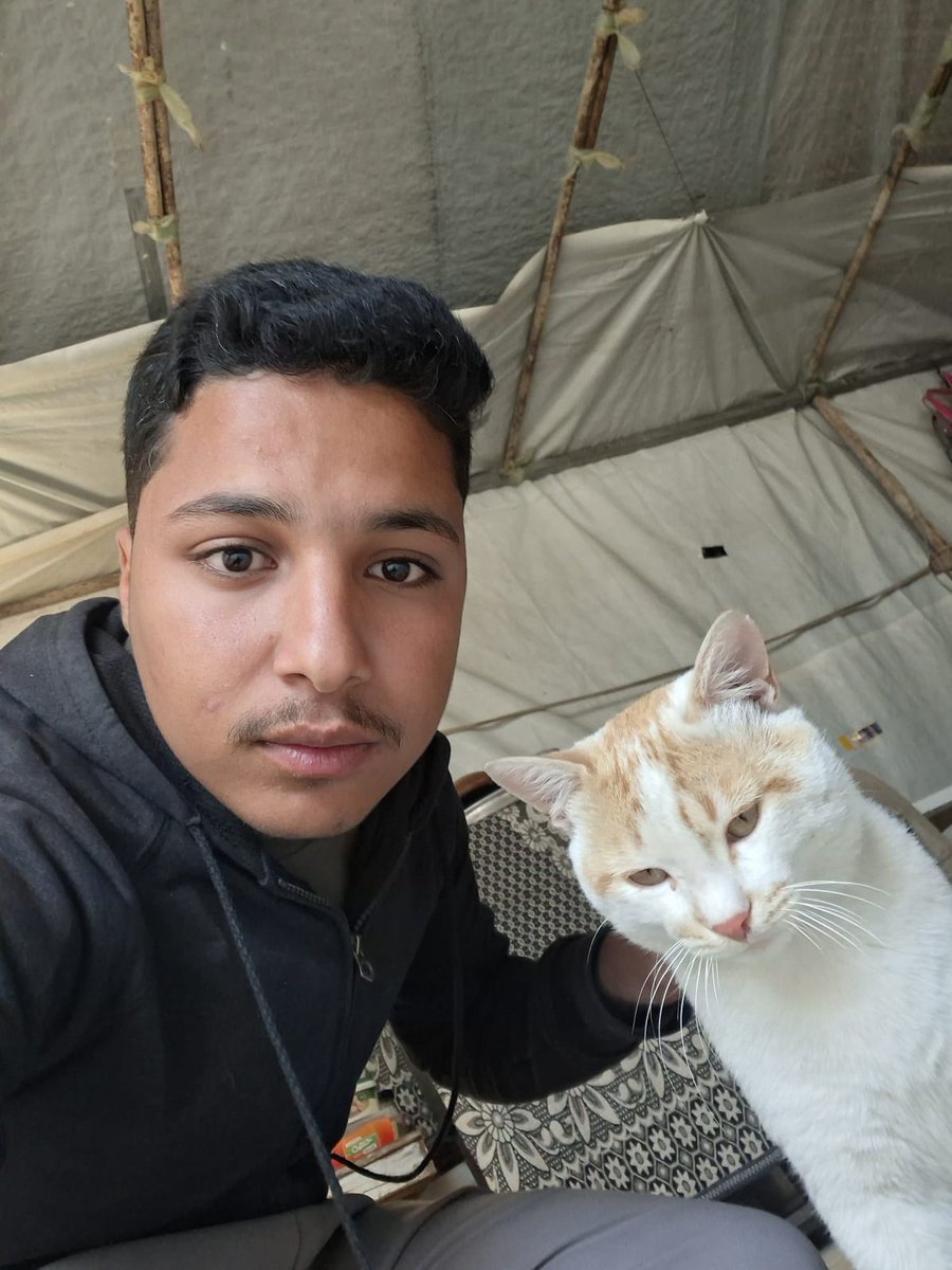 Ameen Aljbour tweet media