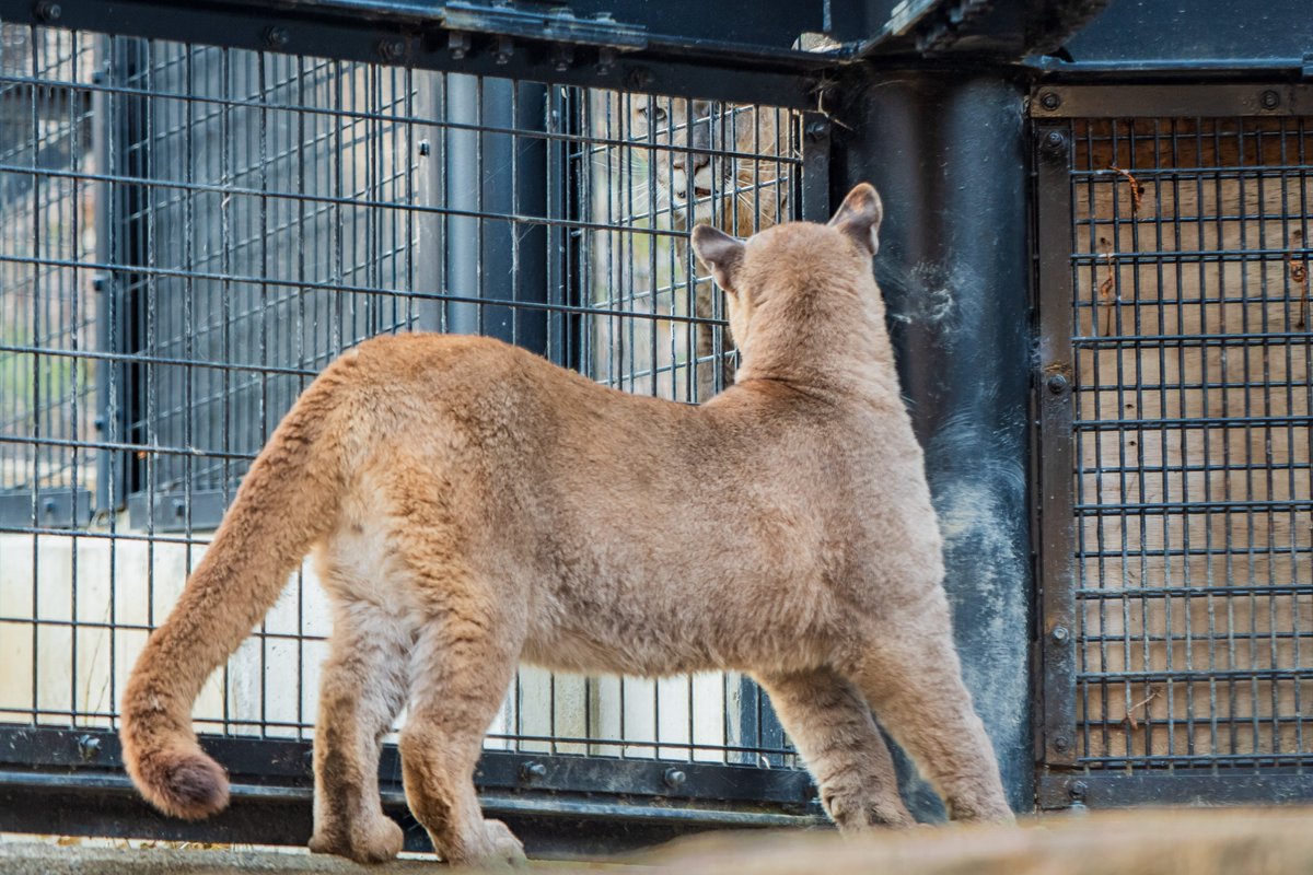 千潮祥路 tweet media