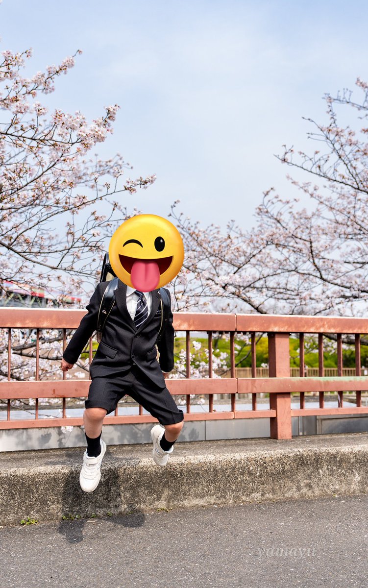 やまゆ🦜🪽 tweet media