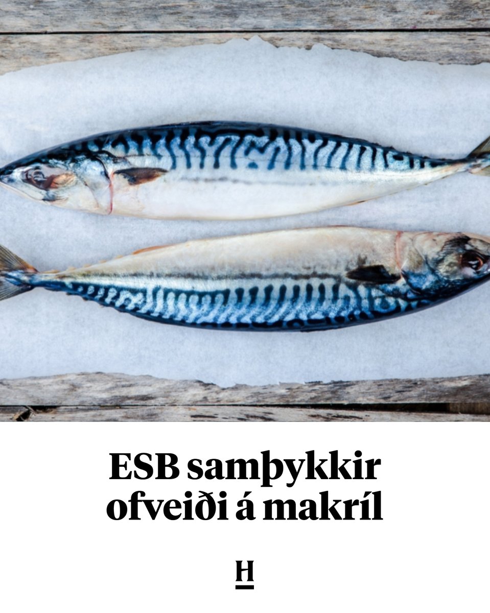 Heimildin tweet media