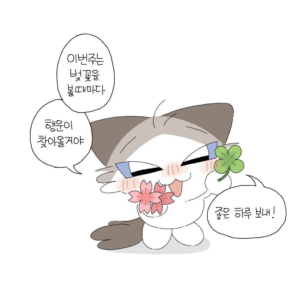 사진을 누르지않아도🐱