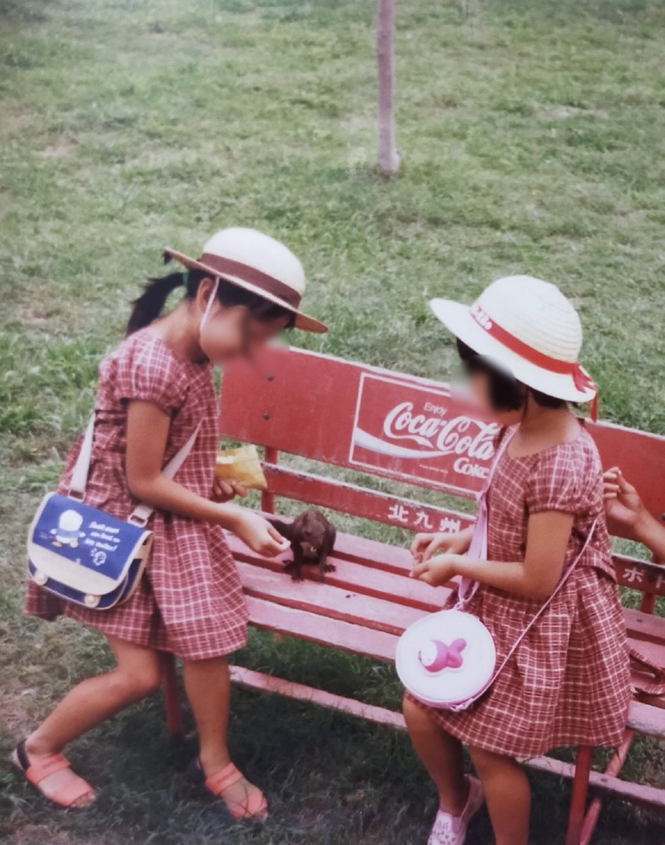 ジーネ・マーマ ちづ tweet media