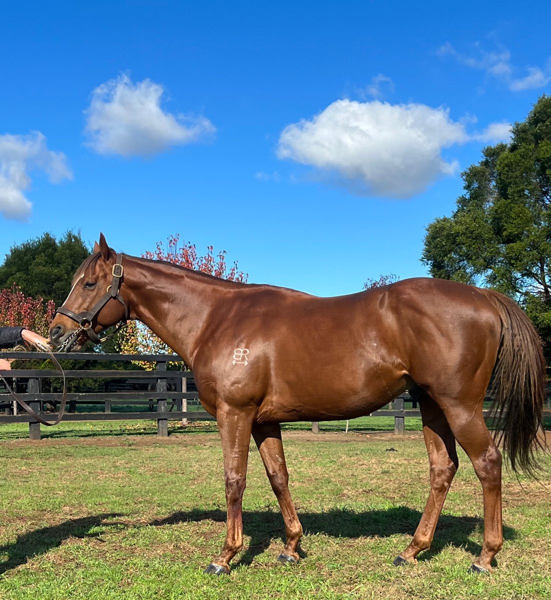 Tom Ryan tweet media