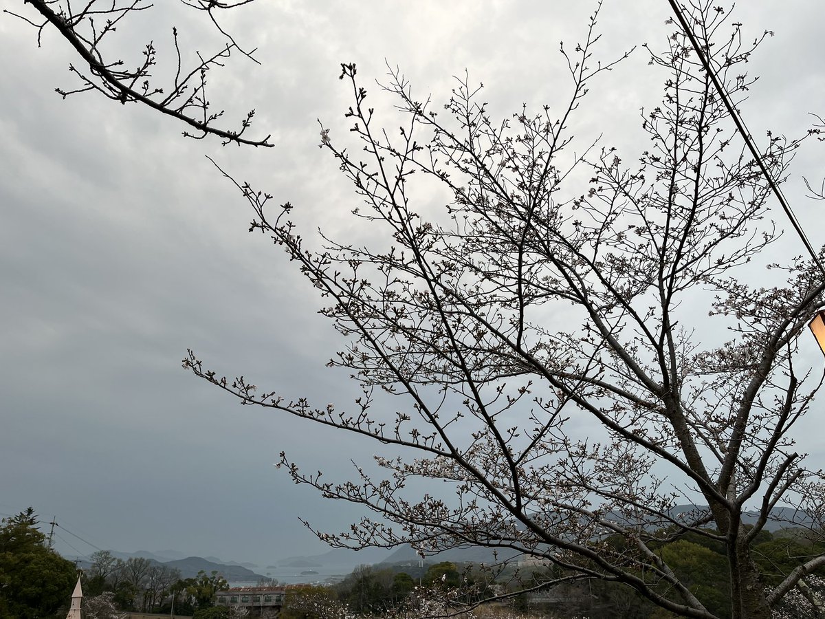 千光寺山ロープウェイ tweet media