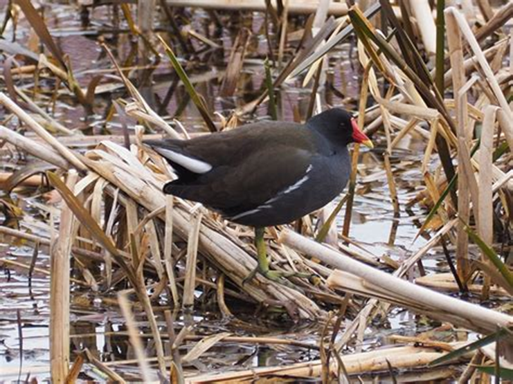 Eva Close tweet media