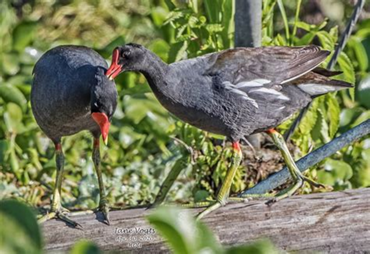 Eva Close tweet media