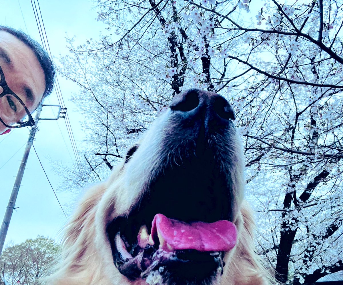 内藤聡 tweet media