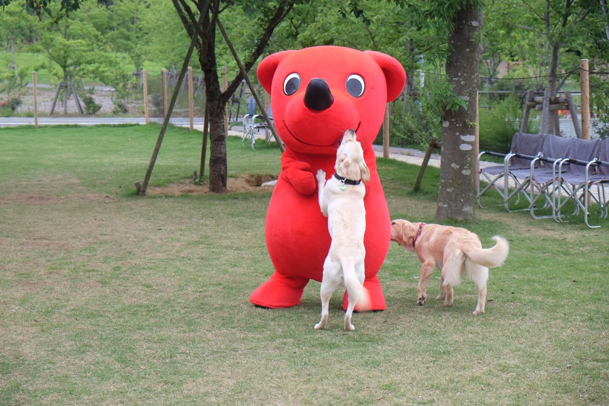 チーバくん tweet media