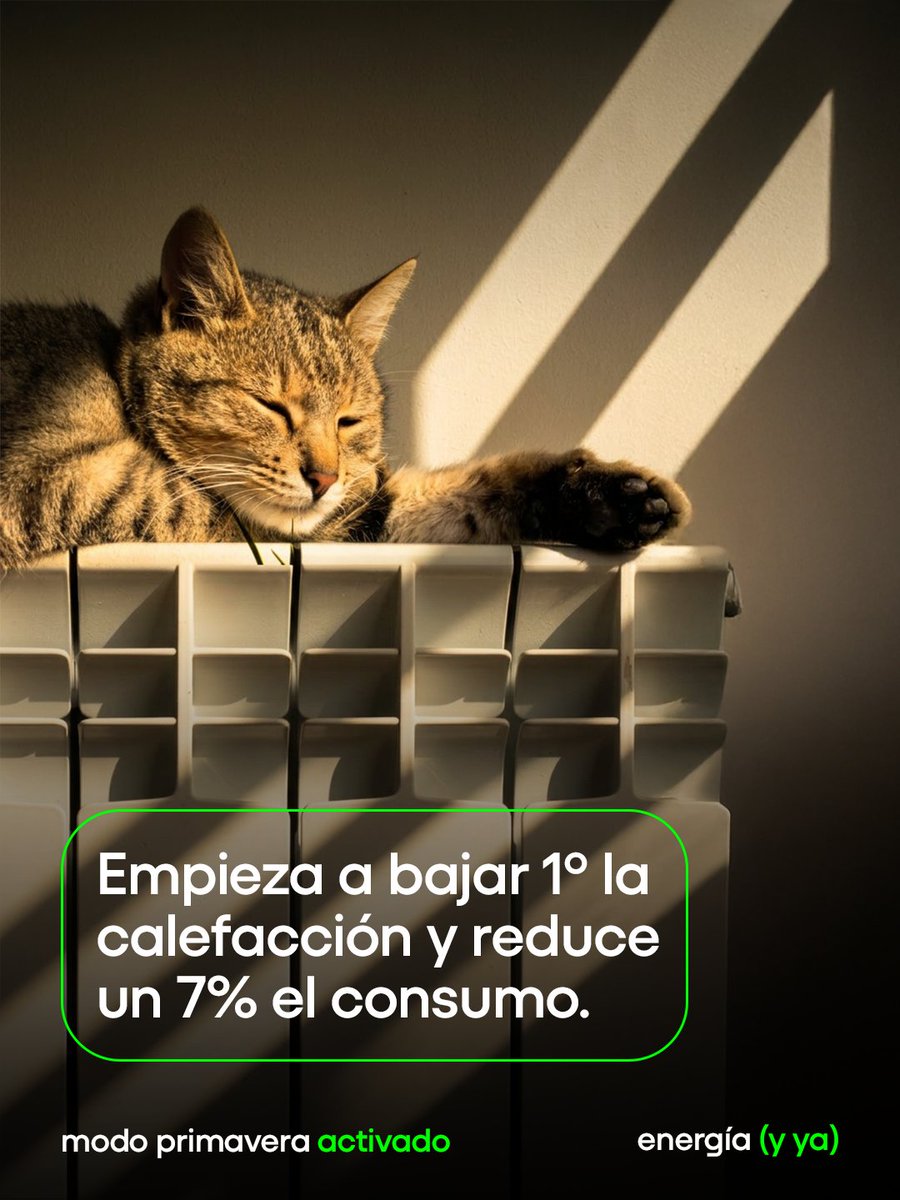bualá energía (y ya) tweet media
