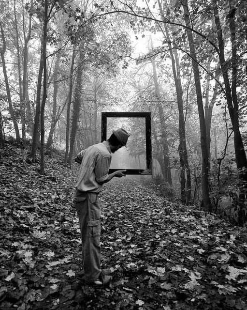 literland tweet media