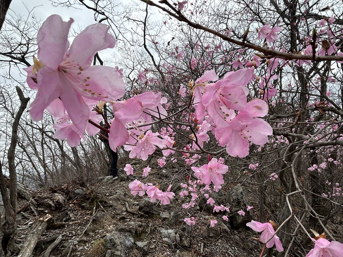 misonya4 tweet media