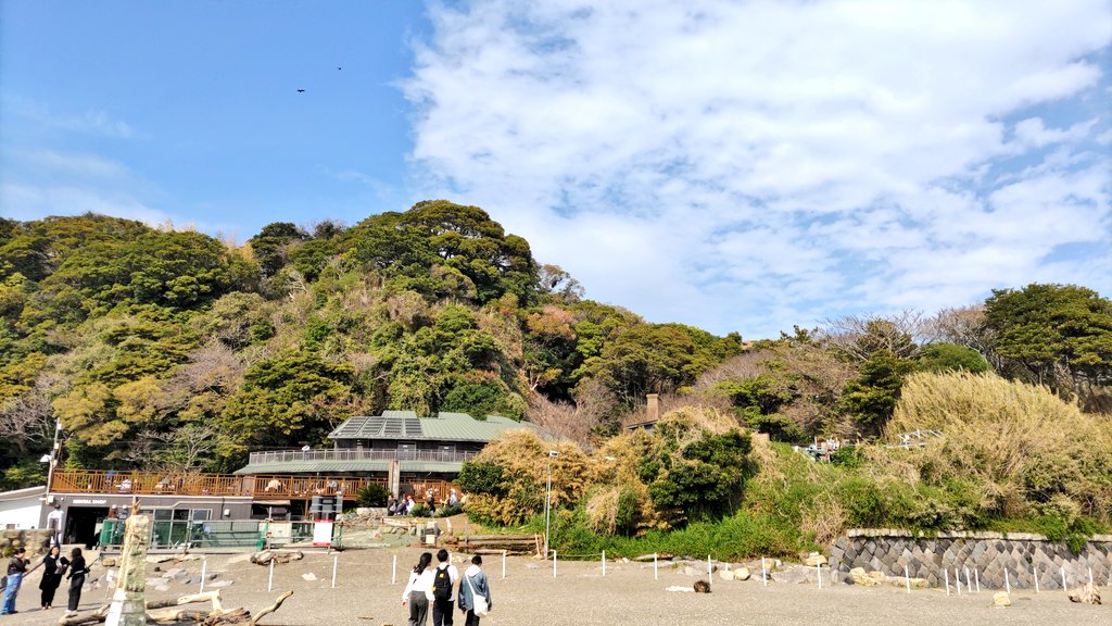 派歩（ぱぽ） tweet media