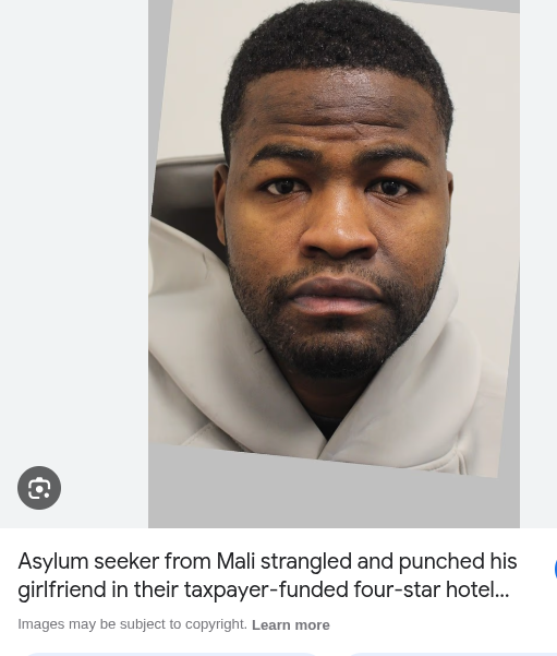 Troy Bison tweet media