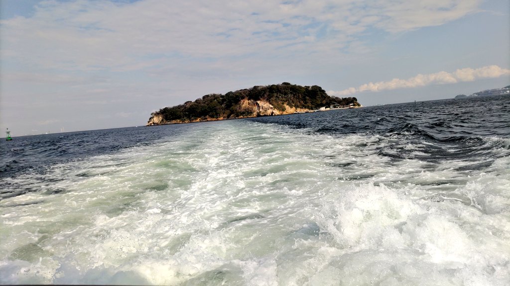 派歩（ぱぽ） tweet media