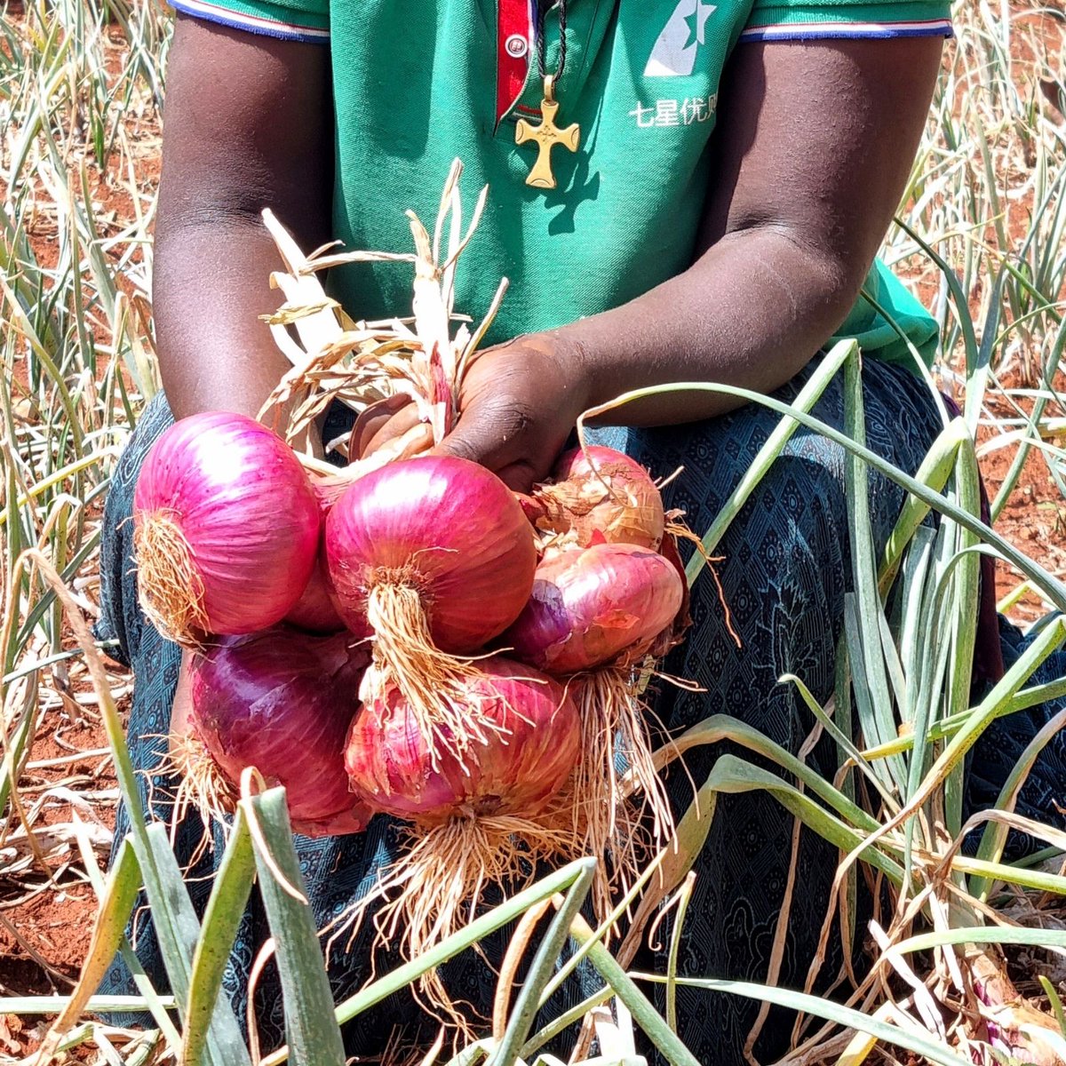 ForAfrika tweet media