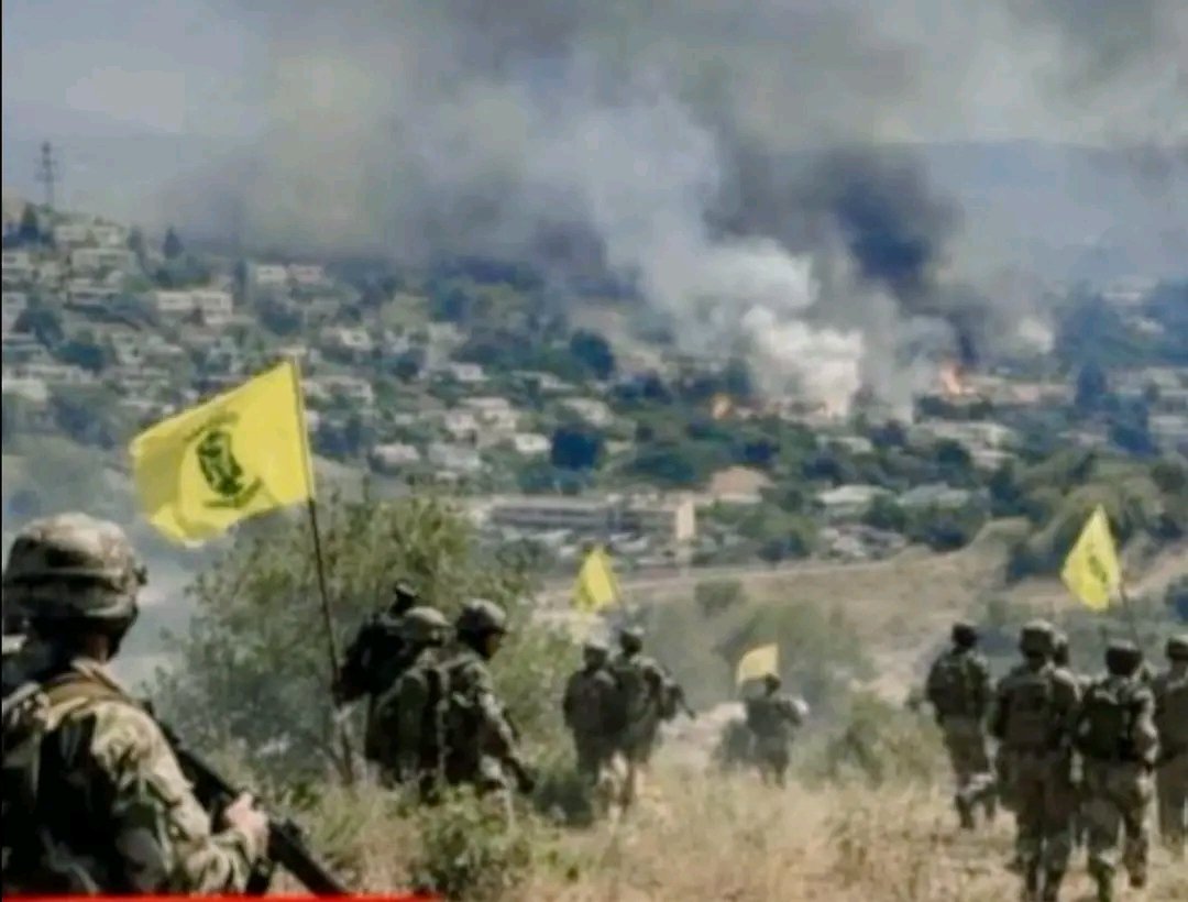 Ali Kayla tweet media