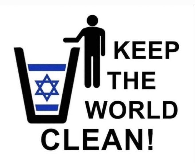 🐢Taous93FI🇩🇿 tweet media